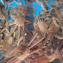 세양수산 이미지