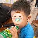 암벽등반벽 이미지