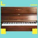 삼익피아노 홀 | 금정동 군포 피아노 조율 삼익 피아노 수리