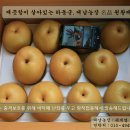 치수농장 이미지