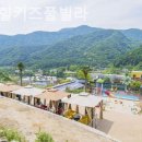 풀빌라바니 이미지