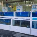 피자헛 청주가경본점 이미지