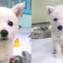 모란동물병원 이미지