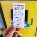 오동나무공원 | 1월 여수여행 가서 오동도 다녀온 후기 (동백열차 탑승, 한려해상 국립공원, 오동도 등대)