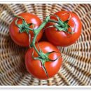 이레과일 이미지