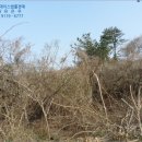 에이스목장 이미지