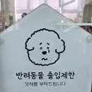 더문 | 카페 인더문 후기 | 바다뷰를 마주하며 달달한 디저트와 음료로 즐거운 진해오션뷰카페