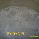 국수둥지 이미지