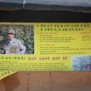 서중석농장 Daum카페