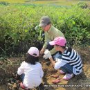 흥부 농장 이미지