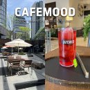 [강남구 역삼동] 카페 무드, 원에디션강남 지하 느좋 신상 카페