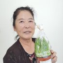 법인보리