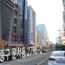 브라운도트 이미지