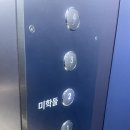 제주 아라동 복구매직 전문 미용실 &#39;미학들&#39; 저손상 클리닉 솔직후기