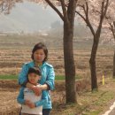 보리수하 이미지