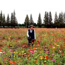 계양 아라온꽃축제~2 이미지