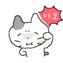 세이브해나스튜디오 이미지