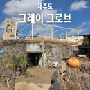 형제해안로 | 제주 사계해변 그레이 그로브 고양이가 있는 감성 카페