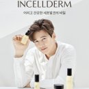 세계로 인셀덤 이미지