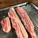 기찬고기 이미지