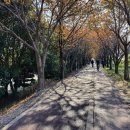 낙동강제방(2) 이미지