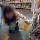 날아라 햄찌 이미지