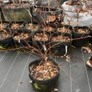 정돈농장2 이미지