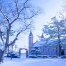 당진시 합덕중앙길 | 합덕성당 겨울 | 붉은 벽돌 위에 내려앉은 고요한 12월