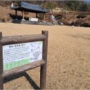 더드림 행정사 사무소 네이버블로그