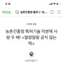 굳지않는 떡!!! 이미지