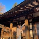 송정여자경로당 | 부산 여행 대나무숲 아홉산숲 후기 (이용료, 주차장, 운영시간, 카페)
