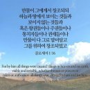 오늘의 '영어성경 사진'(802강) “모든 것들을 창조하셨던 하나님”(골로새서 1장 16절) 이미지