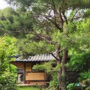 말도민박 | 하동 묘향민박 가성비 한옥감성숙소 상세후기