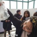 부성초 이미지
