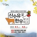 The 산수유 이미지