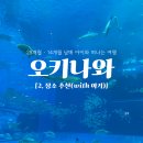 [2025 오키나와] 28개월·14개월 아기랑 4박 5일 – Day 1. 장소추천