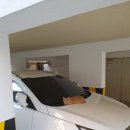 고양이 행복 쉼터 이미지