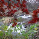 곡성-024 이미지