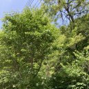 태양미장원 이미지