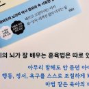 아이의 행동이 저절로 바뀌는 뇌과학 훈육법 이미지