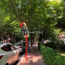 압구정-121 이미지