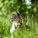 물방울 리얼 골프존 이미지