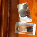 스테이 오무개 이미지