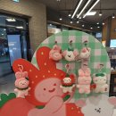 영풍 | 광주 유스퀘어 영풍문고 방문 후기