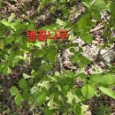 지리산노고단 탐방후기