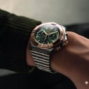 N&A로열독 이미지