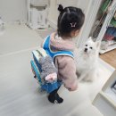 어린이집 | 만1세반 어린이집 준비물 구매후기(feat.이름표 부착)