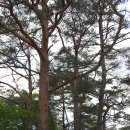 청풍명월펜션 이미지