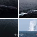 중앙수중개발 이미지