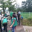 신하초 사거리 이미지